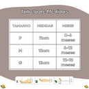 Pantufa Bear Inverno Brincarzi