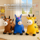 Cavalinho Pula Pula Musical Brincarzi