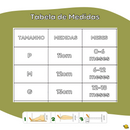 Bota Lãbrin Inverno Brincarzi